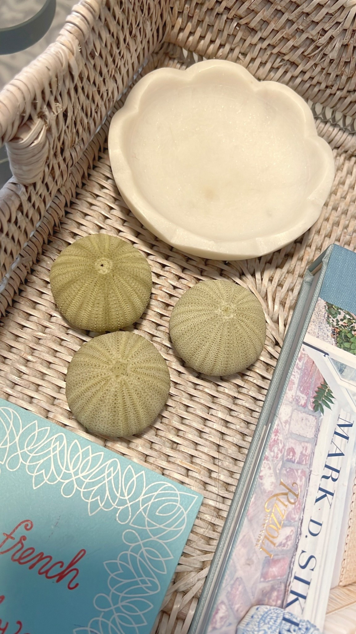 Bought these green sea urchins at a farmers market but found very similar ones to shop. 
.
.
…Home decor. Sea shells. #ltkunder100 

#LTKFindsUnder50 #LTKFamily #LTKHome