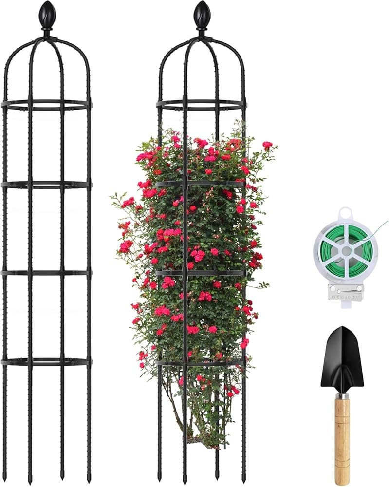2 Pack 6Ft Tall Garden Obelisk Trellis for Climbing Plants Outdoor, Rustproof Plant Trellis Garde... | Amazon (US)