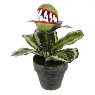 14" Venus Flytrap in Rustic Black Pot by Ashland® | Michaels | Michaels Stores