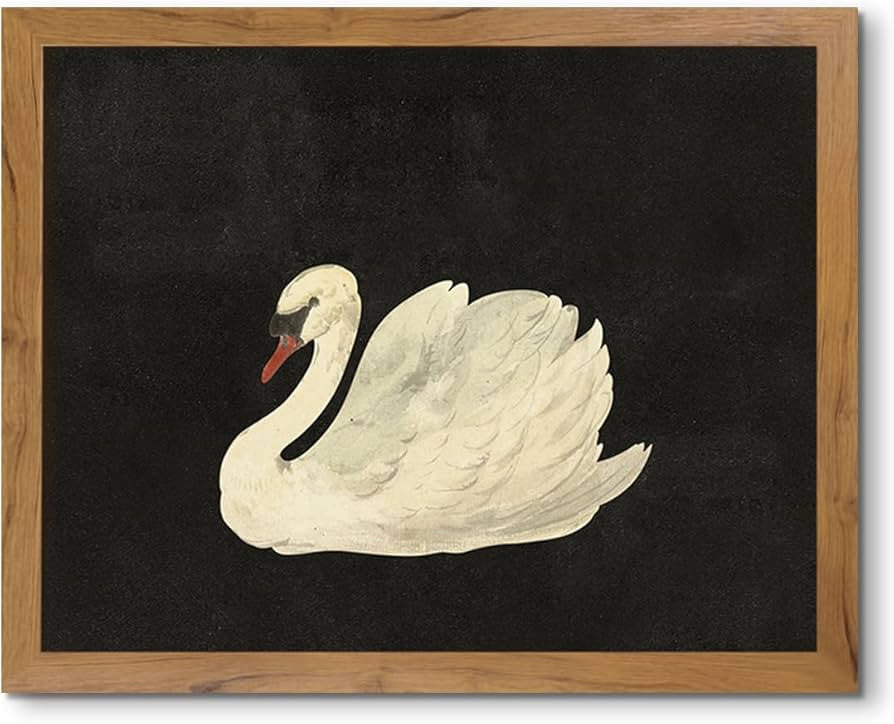 FEIGEE8LA Vintage Swan Art Prints Elegant White Swan Canvas Wall Art Mute Watercolor Animals Pict... | Amazon (US)