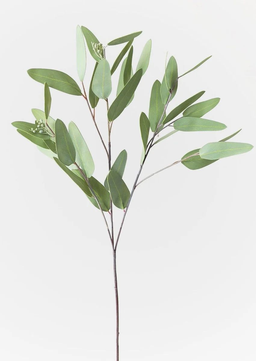 Faux Real Touch Eucalyptus Branch - 31" | Afloral (US)