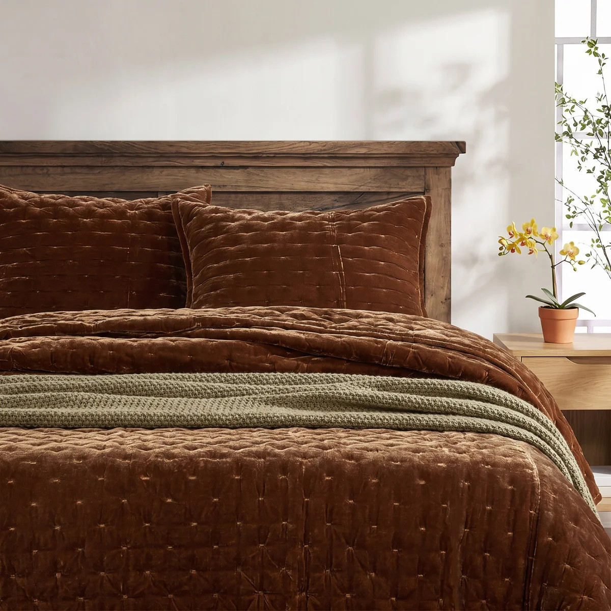 Stella Velvet Quilt Set | Joss & Main