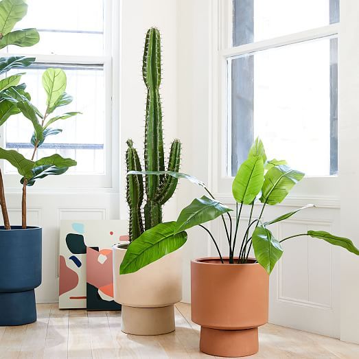 Bishop Ceramic Indoor/Outdoor Pedestal Planters | West Elm (US)