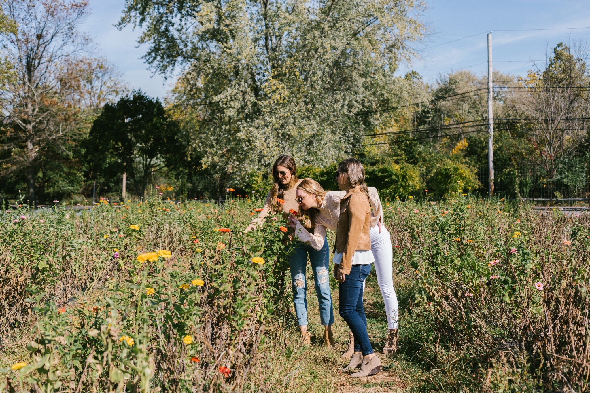 Happy Spring 🌼 Links to what we’re buying and wearing this season! Recreating this look but making it NOW! 

#LTKootd #LTKSeasonal #LTKdayinmylife
