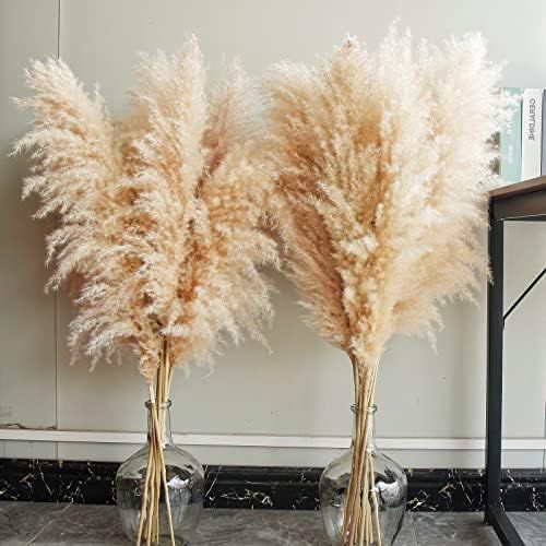 Amazon.com: Bannifll 40" inch 10 Stems Natural Pampas Grass Decor Tall, pompas Grass, Tall Pampas... | Amazon (US)