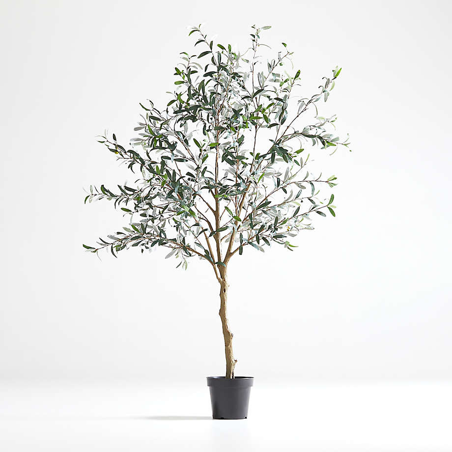 Faux Olive Tree in Pot 7' + Reviews | Crate & Barrel | Crate & Barrel