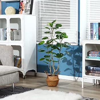 Kazeila Artificial Aralia Balfour Tree,Fake Greenery Plant,Come with Woven Seagrass Belly Basket,... | Amazon (US)