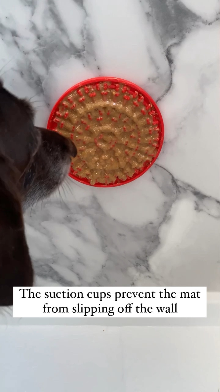 This licking mat for bathing dogs was such a game changer for us!! If your dog doesn’t like taking a bath you can mount this onto any wall and they’ll be distracted the entire time you’re bathing them!! Add puree or peanut butter! 

Dog Lick Pad, Pet Bathing Grooming Distraction Wall Mounted Silicone Slow Feeder Mat with Strong Suction, 2 Pack

#LTKkids #LTKhome #LTKfamily