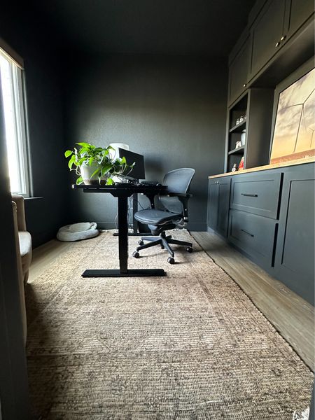 Moody office
Men’s office space
Jute rug
Rugs usa
Barrel velvet chair 

#LTKhome