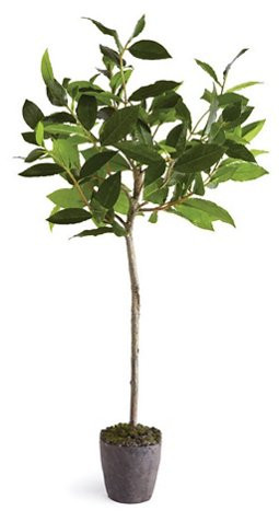 29" Bay Leaf Tree, Faux | One Kings Lane