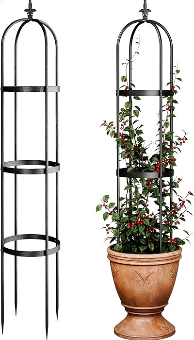 Idzo Trellis for Climbing Plants Outdoor, Garden Trellis Steel, Obelisk Design Stone Coated, 72 i... | Amazon (US)