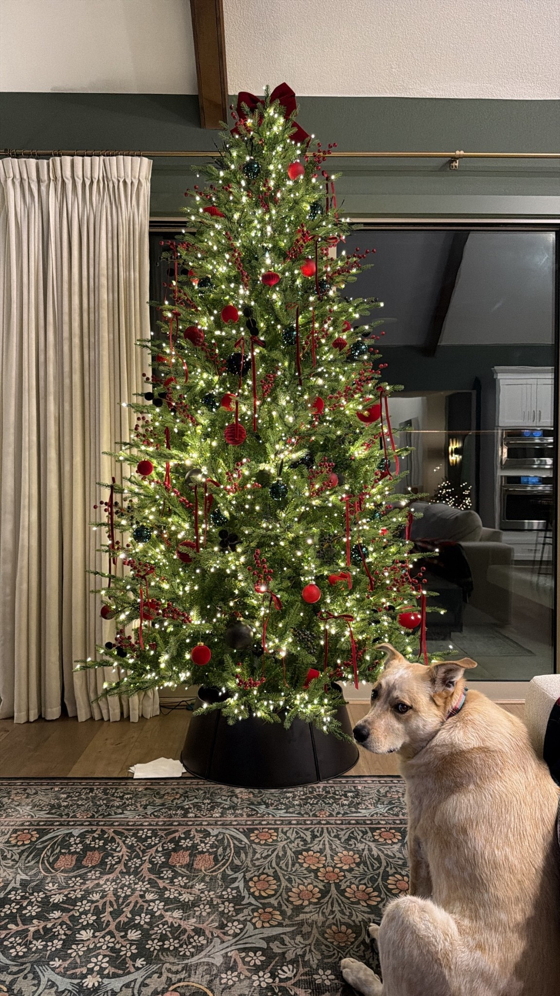 Our twinkle light Christmas tree - we have the 9ft unflocked full size. Tree is limited stock & rug is 30% off 

#LTKCyberWeek #LTKSaleAlert #LTKHoliday