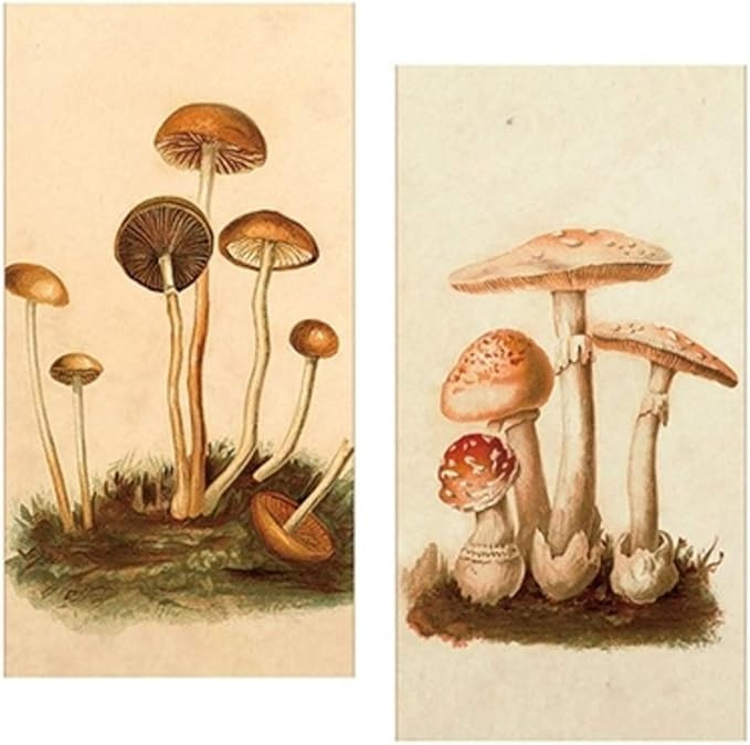 Decorative Matches, (Set of 3 Match Boxes) Long Wooden Matches,Strike Strip on Side of Box- Color... | Amazon (US)