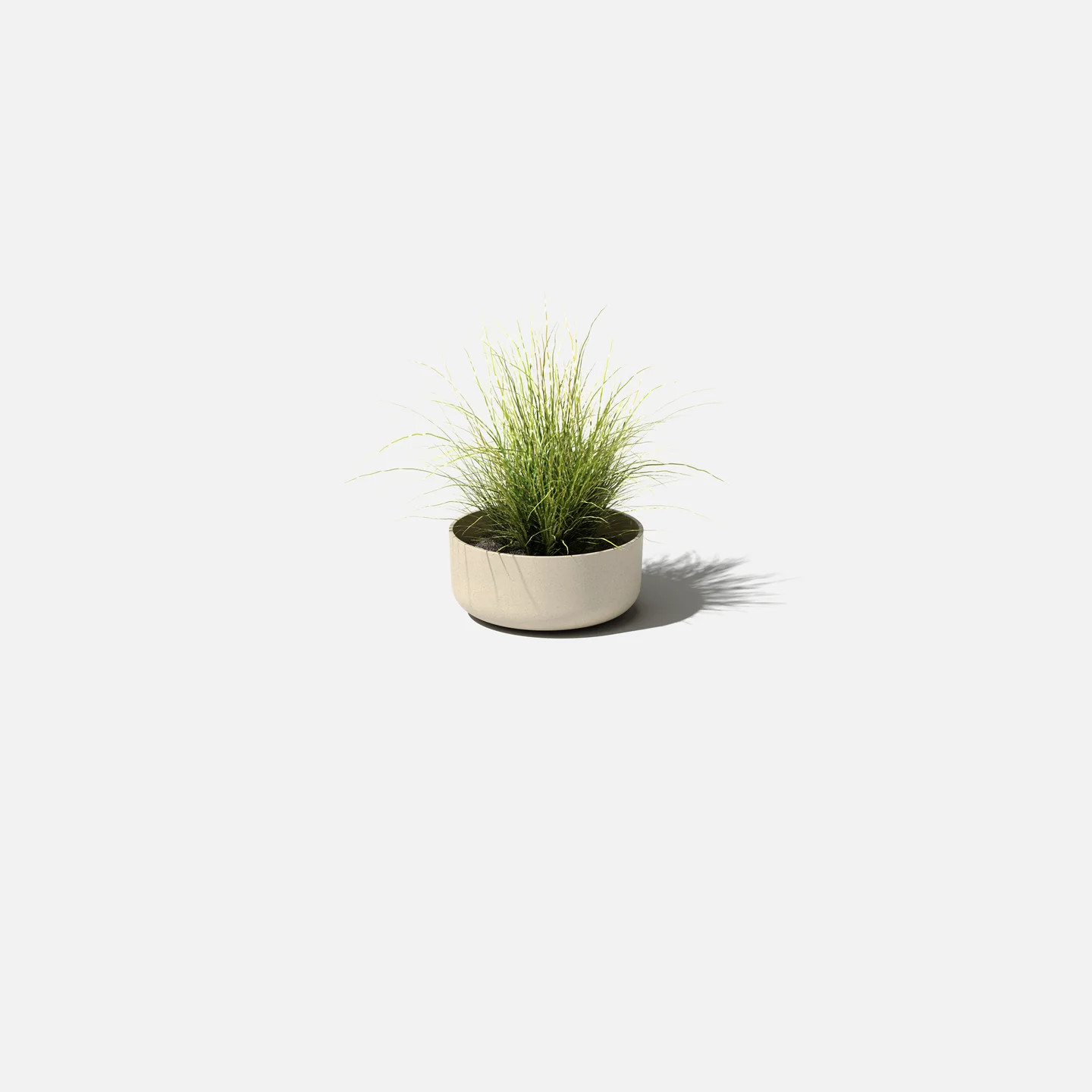 mason kona bowl planter | Veradek
