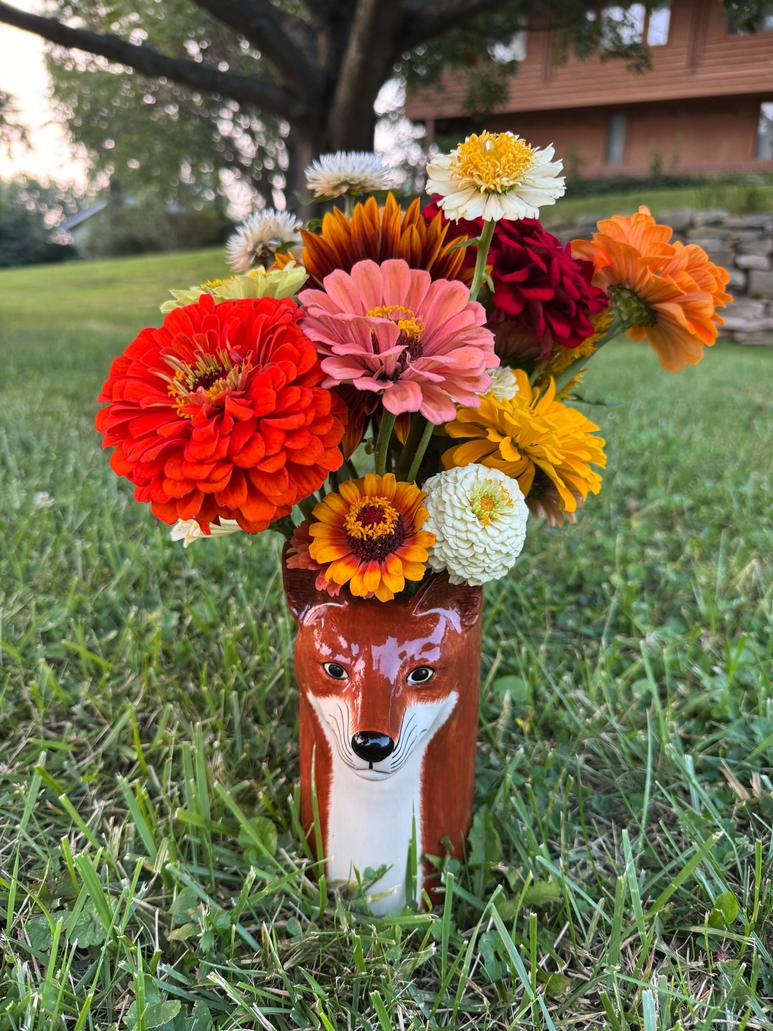 The cutest vessel for some beautiful local flowers! 🦊

#LTKHome #LTKSeasonal