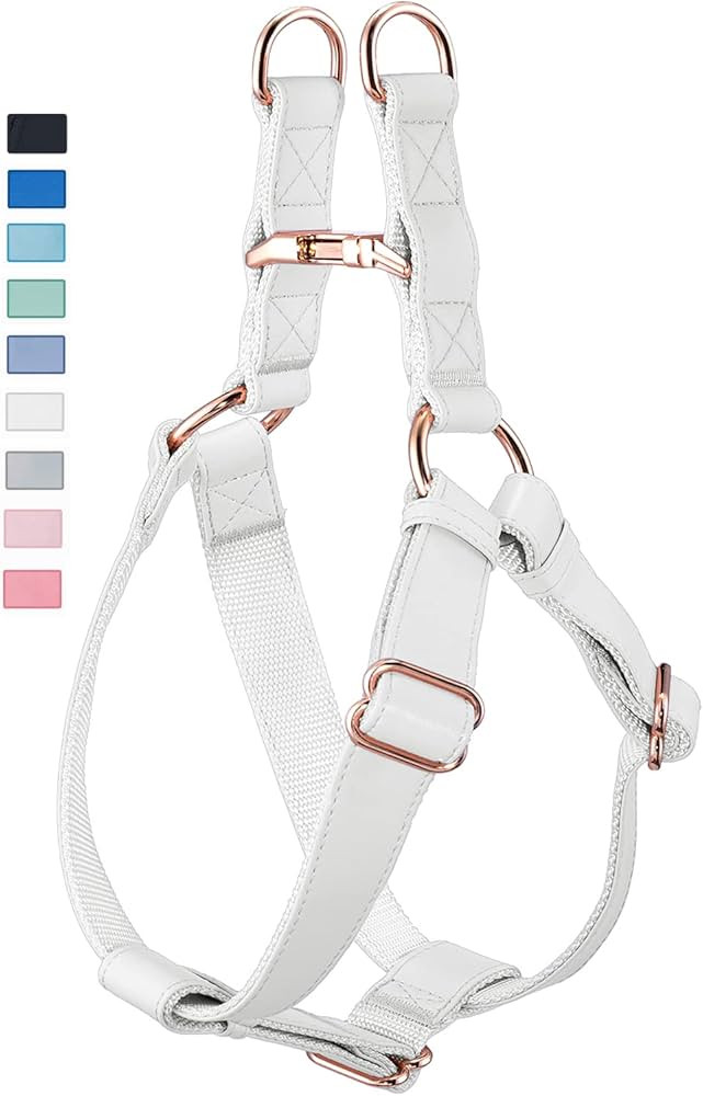 Soft Leather No Pull Dog Harness - Adjustable Step in Dog Harness with Rose Gold Heavy Duty Metal... | Amazon (US)