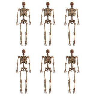 5 ft. Poseable Decayed Skeleton with LED eyes (6-Pack) | The Home Depot
