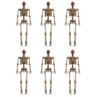 5 ft. Poseable Decayed Skeleton with LED eyes (6-Pack) | The Home Depot
