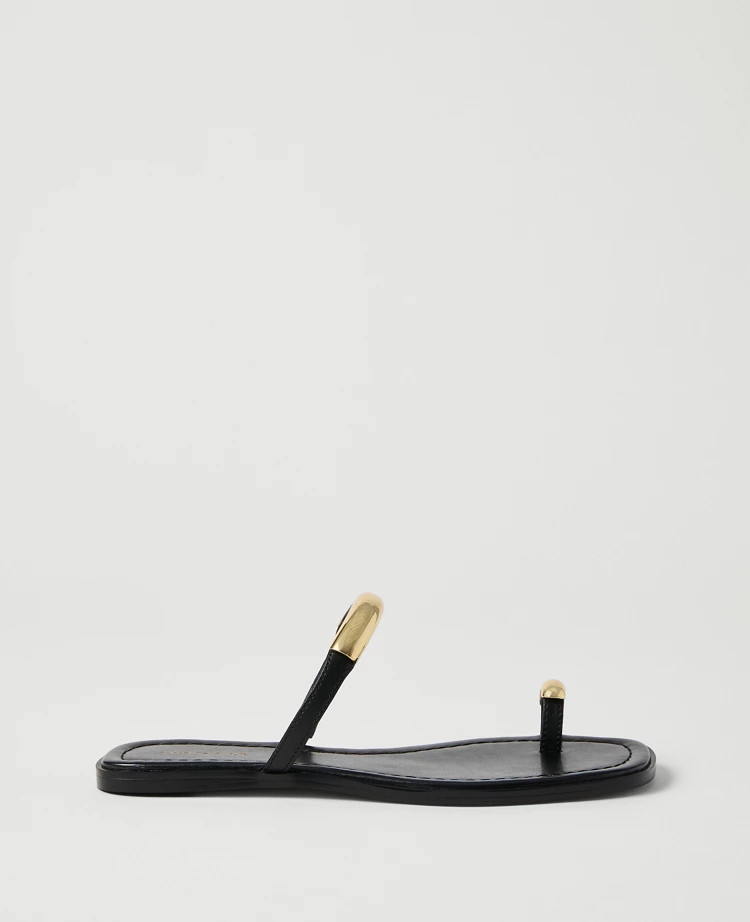 Leather Embellished Sandal | Ann Taylor