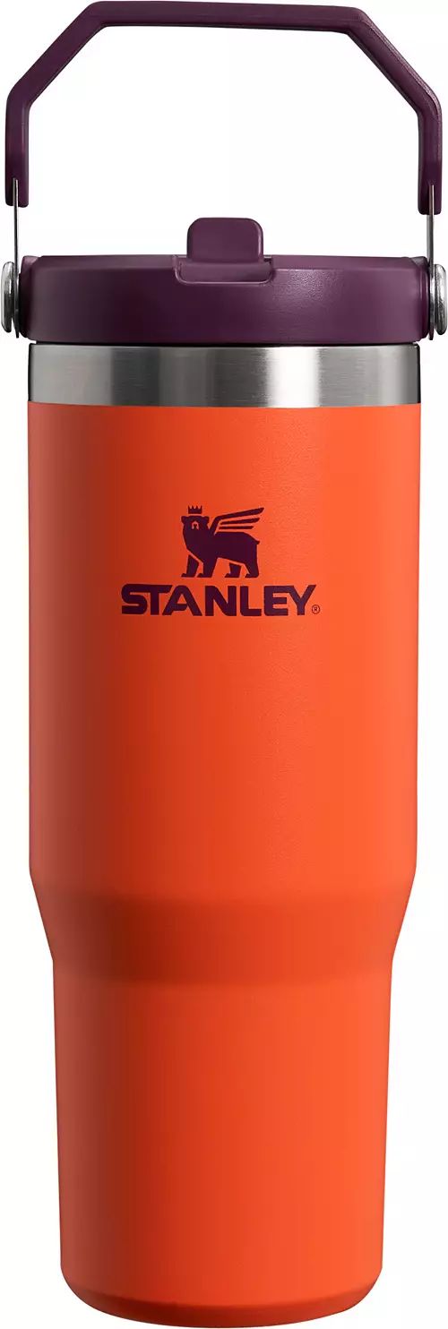 Stanley 30 Oz. IceFlow Tumbler with Flip Straw | Dick's Sporting Goods