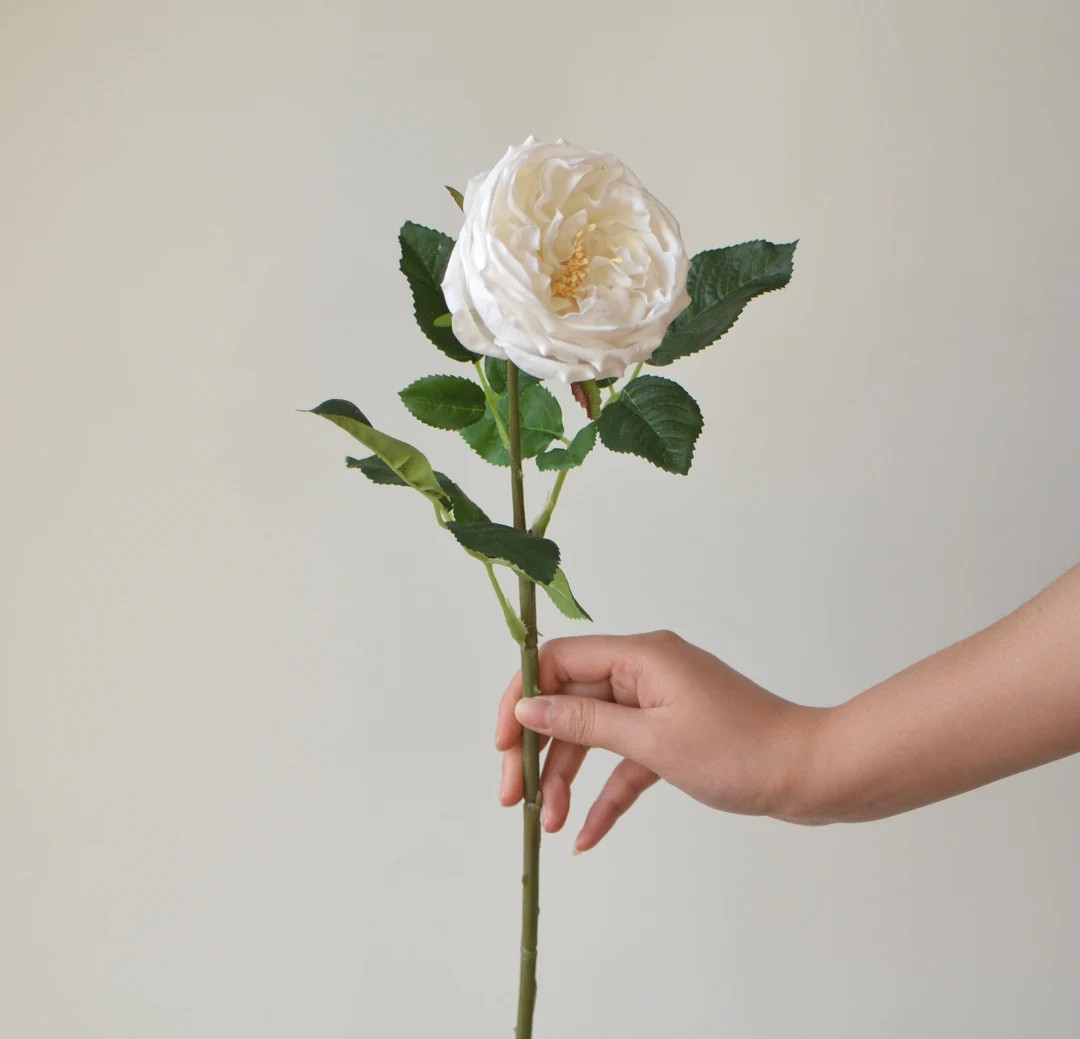 24 White Austin Cabbage Roses, Garden Roses, Real Touch Roses, Silk Roses, DIY Wedding Bouquets, ... | Etsy (US)