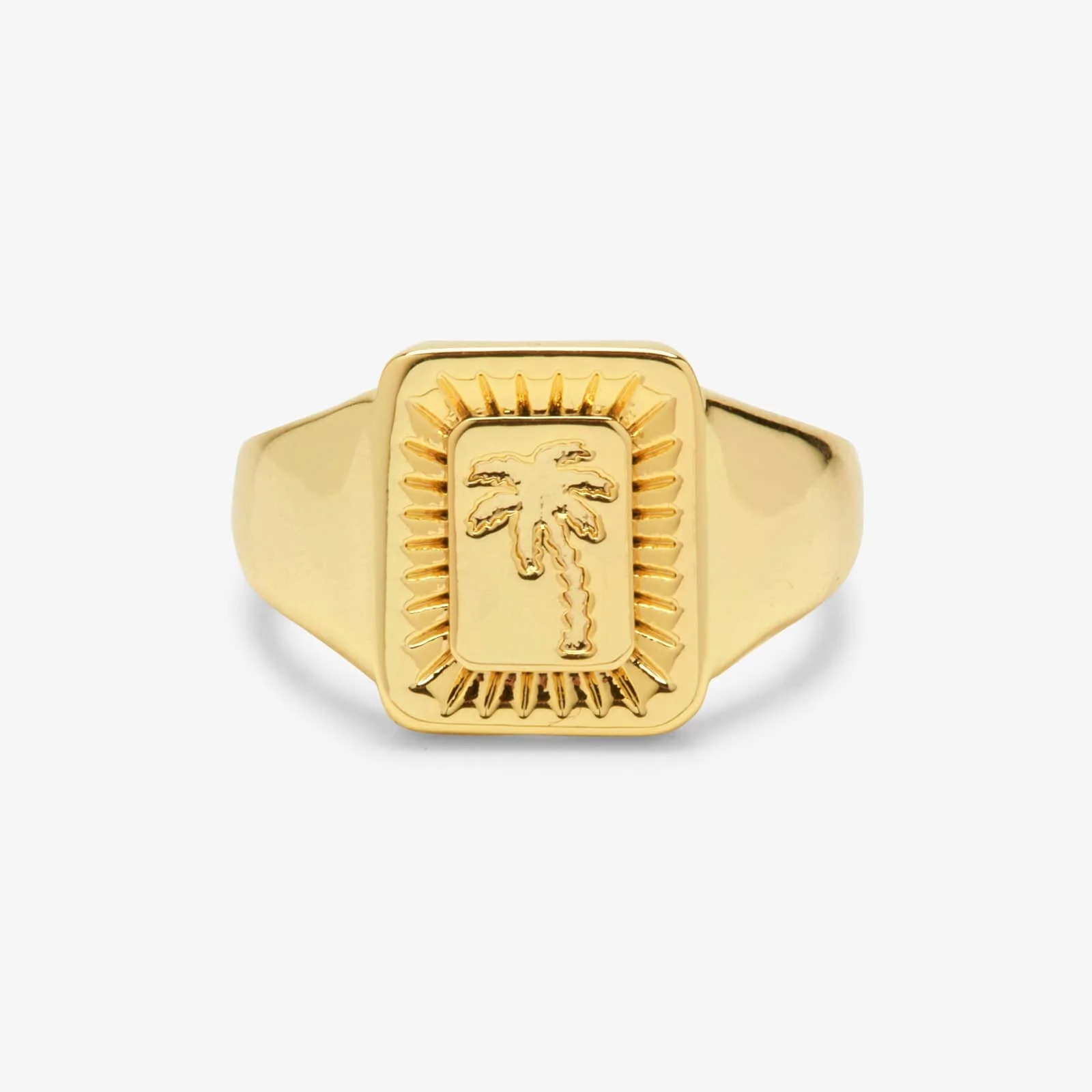 Palm Burst Signet Ring | Pura Vida Bracelets