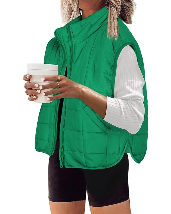 Zeagoo Womens Puffer Vest Ladies Sleeveless Zip Up Outerwear Warm Puffer Lightweight Down all Win... | Amazon (US)
