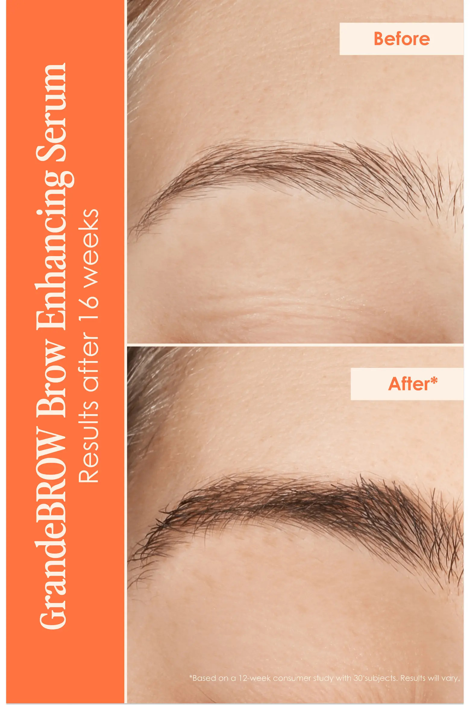 Dynamite Lashes & Brows Set $156 Value (Women) | Nordstrom | Nordstrom