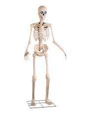 Mr Bones 8ft Outdoor Animated Eyes Towering Skeleton | Marshalls