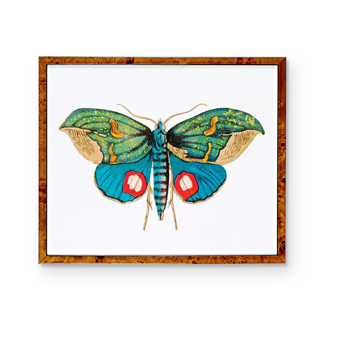 Butterfly Wall Art Print | Butterfly Triptych | Multiple Sizes | Urban Garden Prints