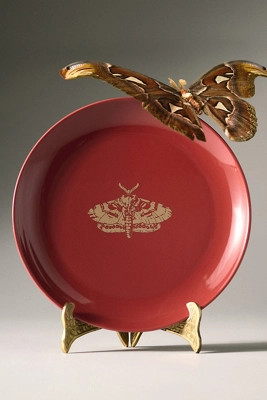 Catherine Martin Midnight Creatures Stoneware Dessert Plate | Anthropologie (US)