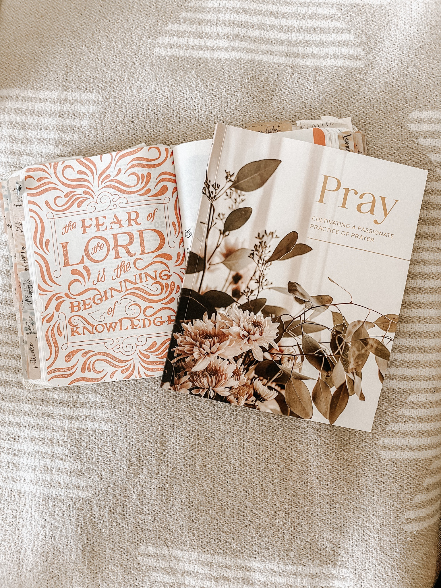 My favorite Bible studies! Every time I share one I get lots of DM‘s, asking me where they are from. Linking just some of the ones I have personally done, some of the men’s ones that my husband has done and has loved. Both of our Bibles are linked as well along with a daily devotional. We both love.

#LTKFind #LTKunder50 #LTKfamily