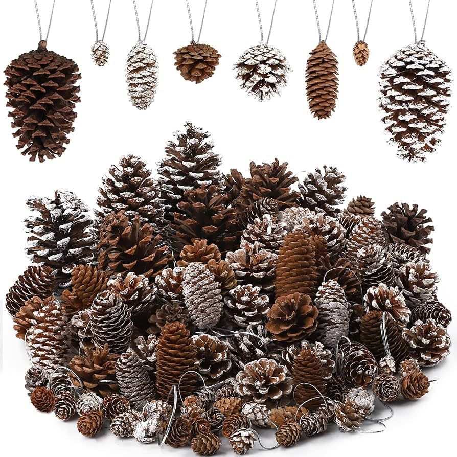 Fovths 66 Pieces Christmas Pine Cones Ornaments with String Natural Rustic Pine Cones Bulk Assort... | Amazon (US)