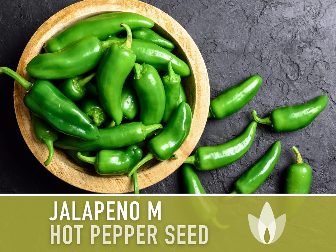 Jalapeno Pepper Heirloom Seeds - Etsy | Etsy (US)