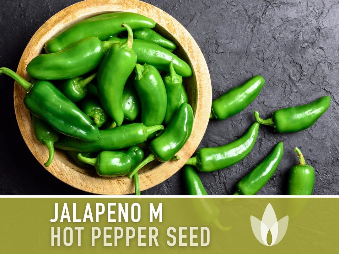 Jalapeno Pepper Heirloom Seeds - Etsy | Etsy (US)