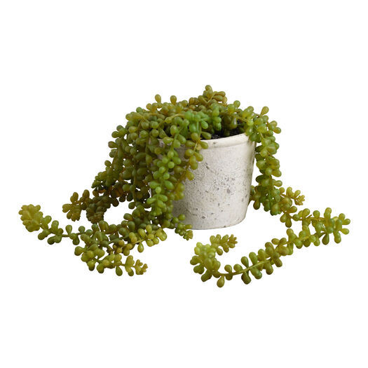 Faux String of Pearls Plant in Textured Pot by World Market | World Market