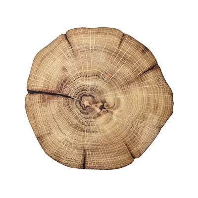 Woodland Placemat | Wayfair North America