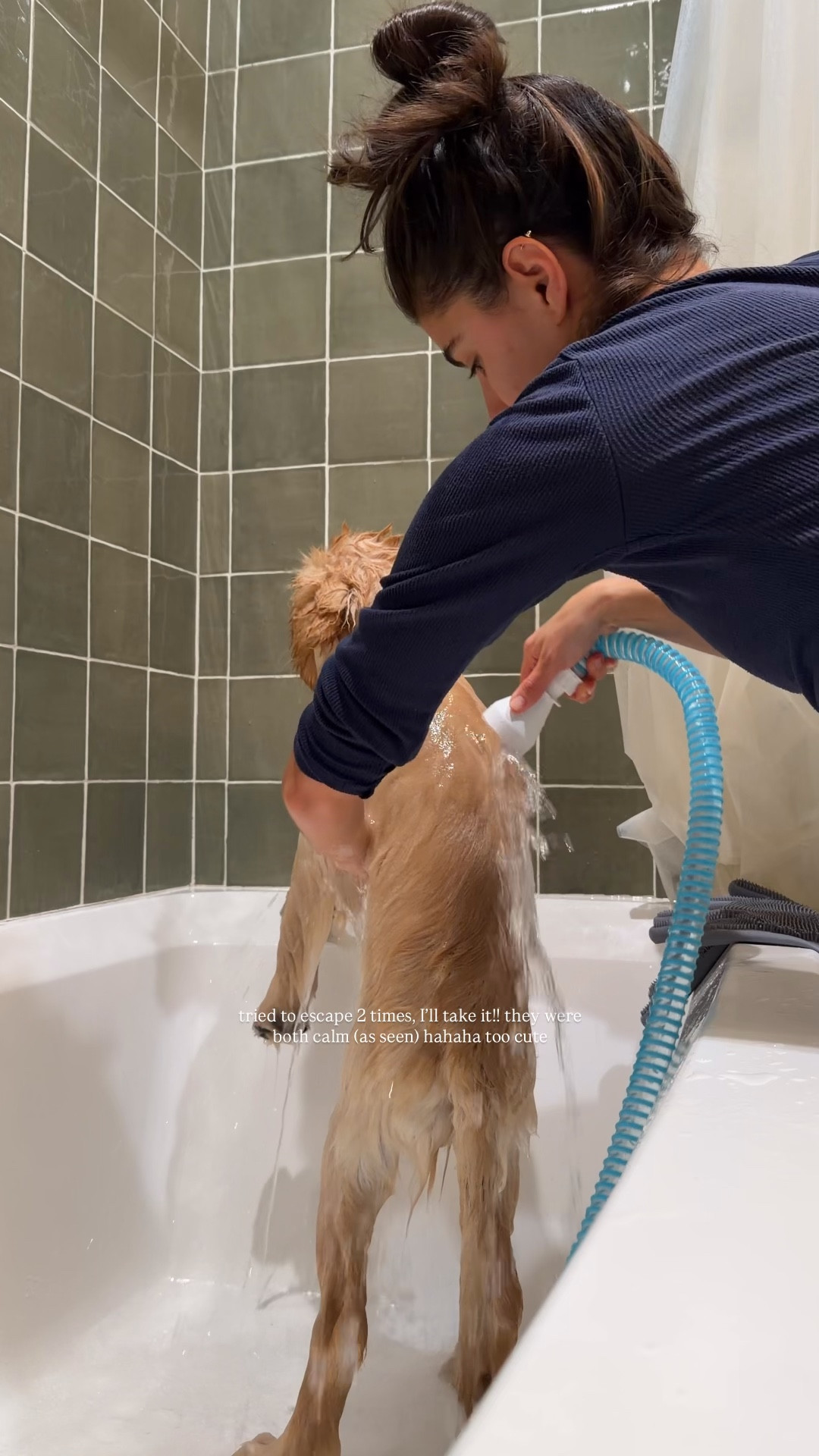 [12/3/25] saw this hose attachment on TikTok and immediately needed to try it! Makes a HUGE difference for us 1. The actually getting water to him easier 2. The sound of the water coming out is not as loud / overwhelming!! linking exact one I bought 

#LTKGiftGuide #LTKdayinmylife #LTKFindsUnder50