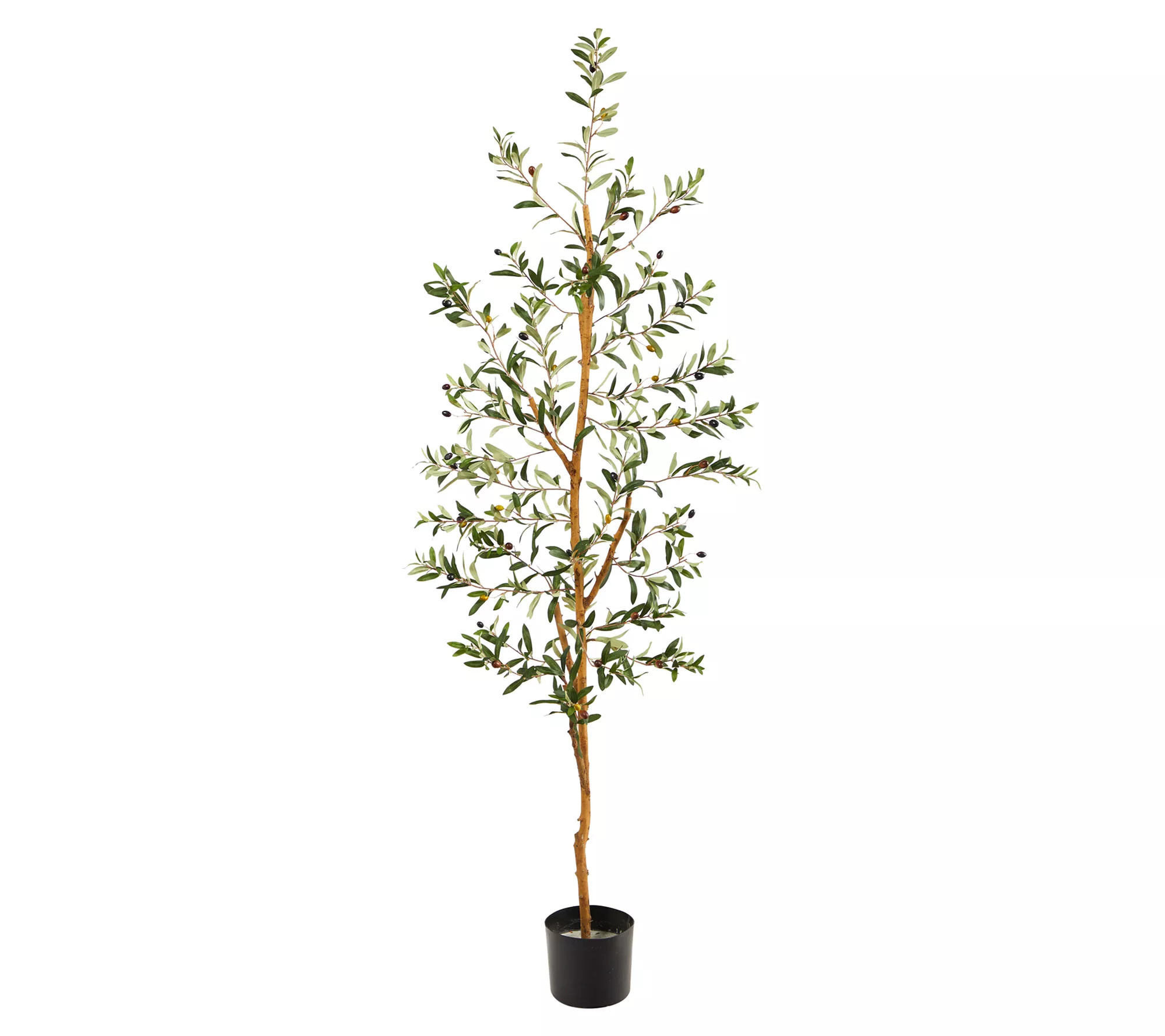 Olive Artificial Tree 4.5' by Nearly Natural - QVC.com | QVC