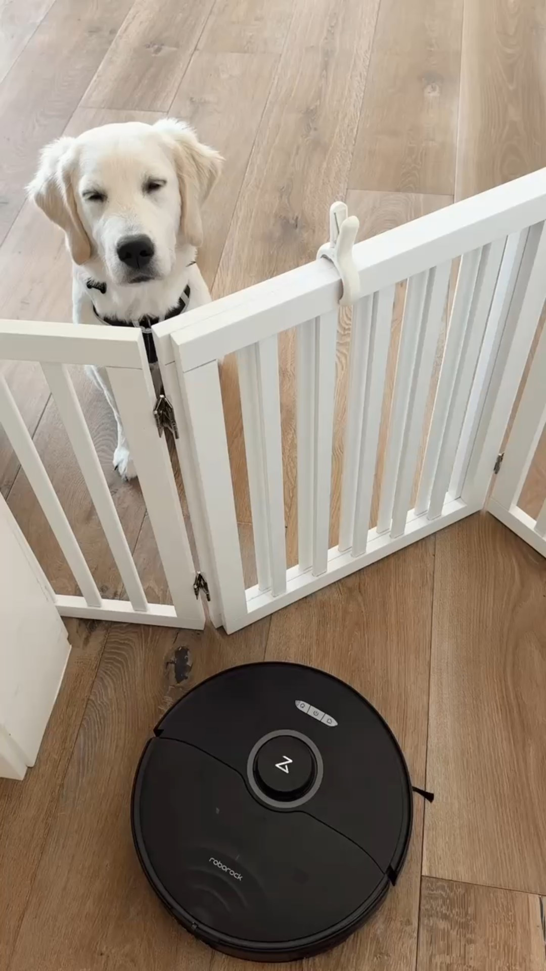 We have found this to be so useful in our home!!
StylinByAylin, Aylin #home #amazon

#LTKPets #LTKHome #LTKStyleTip