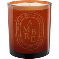 Diptyque Ambre Coloured Candle | Space NK - UK