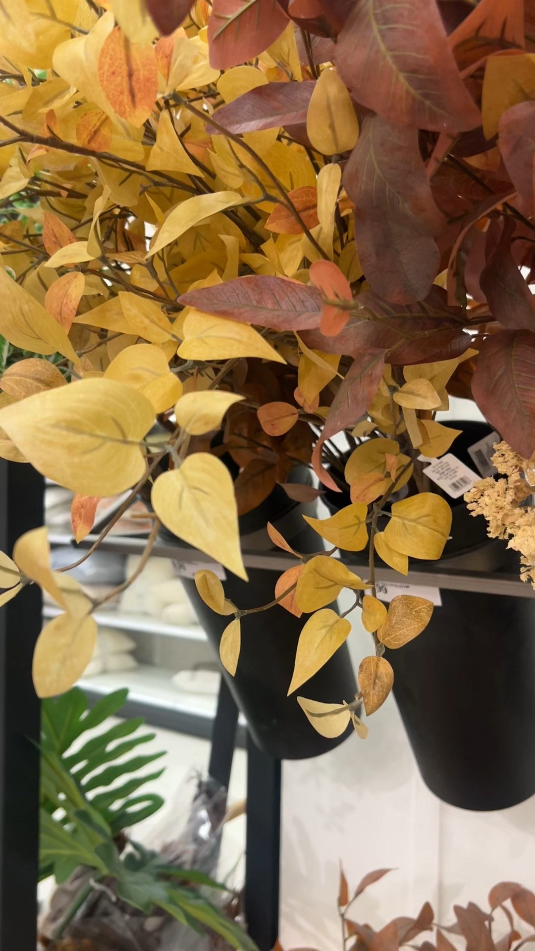 Inexpensive fall stems that don’t look cheap and super fake.
