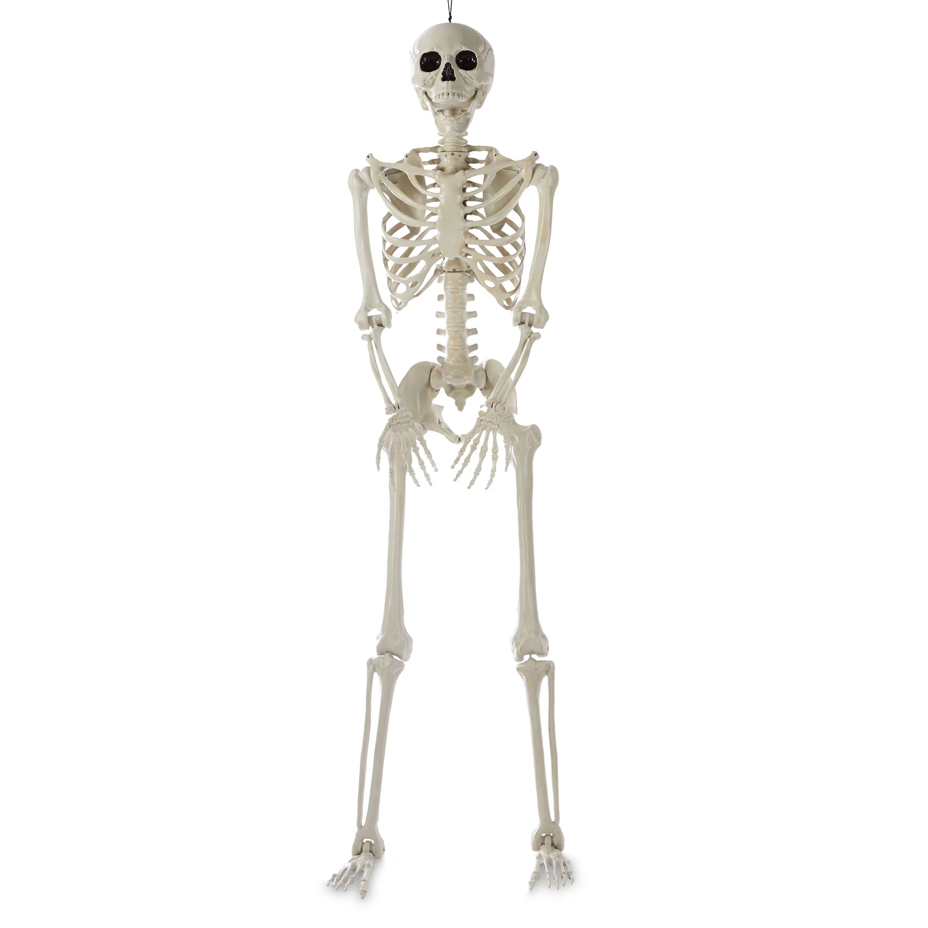 Way to Celebrate Realistic Posable Titan Skeleton, 84 inch - Walmart.com | Walmart (US)