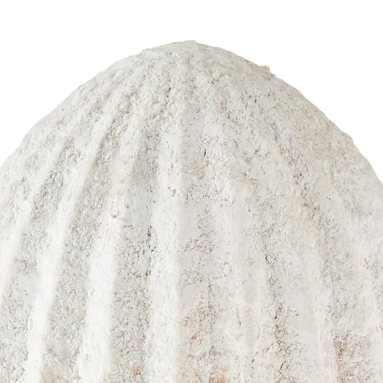 Large White Teracotta Egg, 6.6 inch, by My Texas House | Walmart (US)