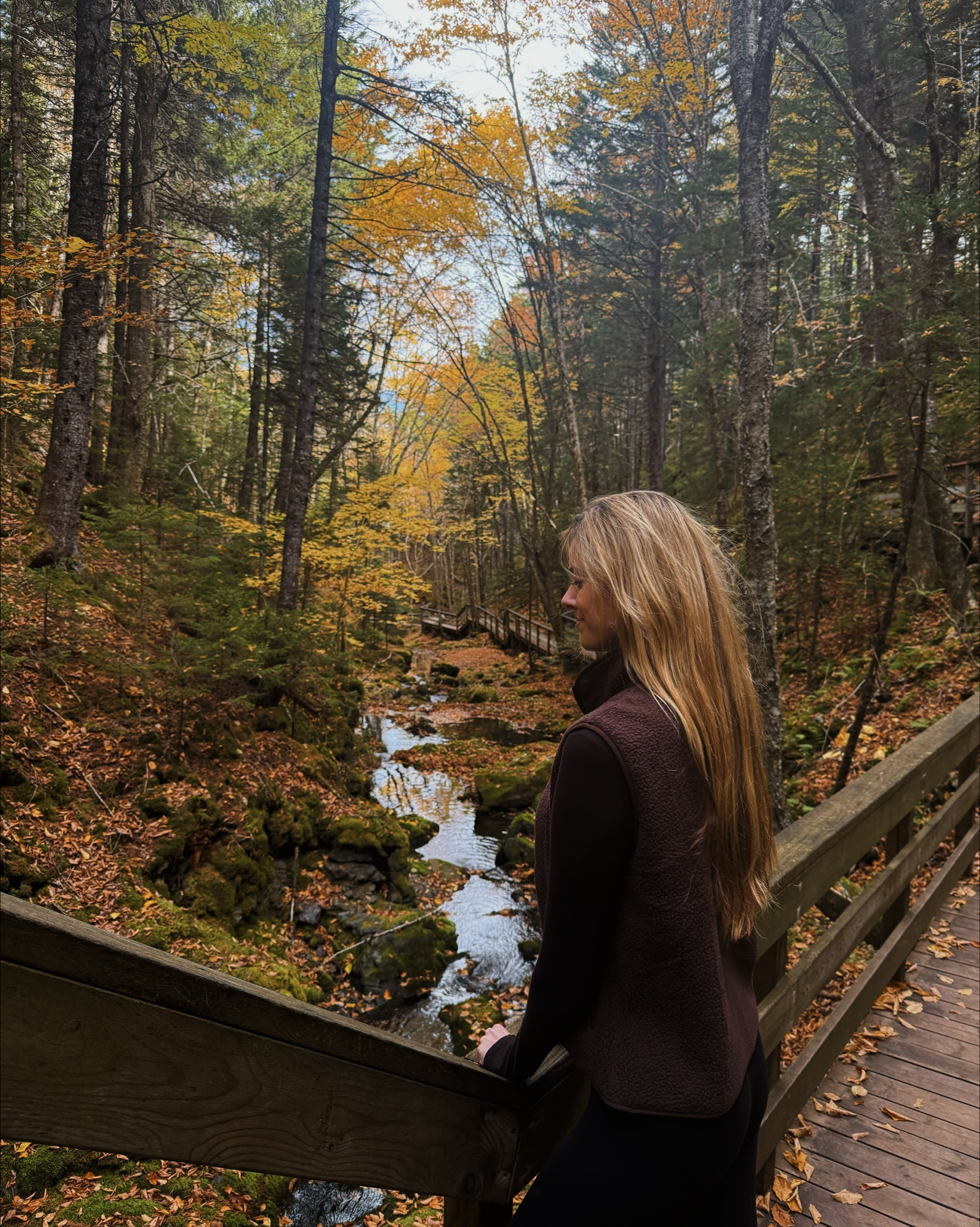 Vest: Medium
Shirt: Small Tall
Leggings: 4 (31” length)
Boots: 12

#LTKFindsUnder50 #LTKFindsUnder100 #LTKTall