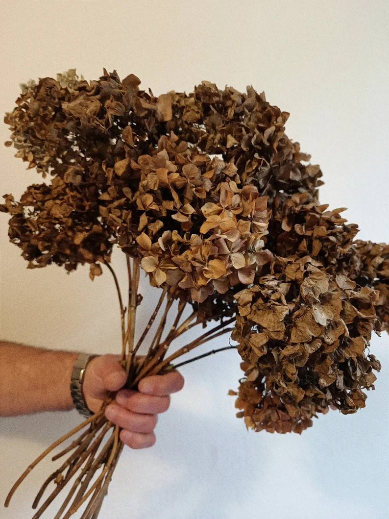 3St Natural Dried Hydrangea: Earthy Rustic Floral Arrangement | Etsy (Global)