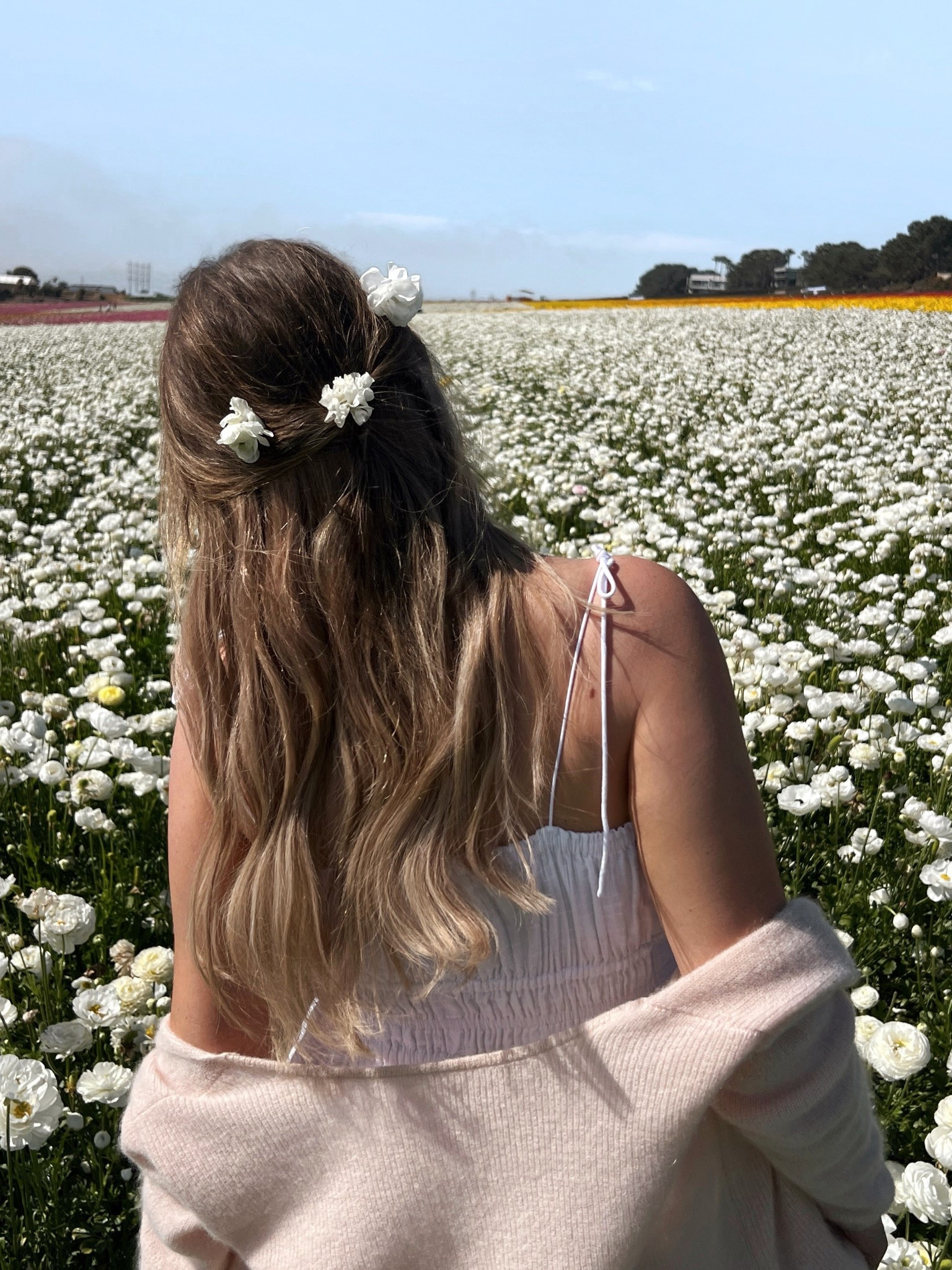 Current haircare favorites 💕 

#LTKSaleAlert #LTKBeauty #LTKFindsUnder50