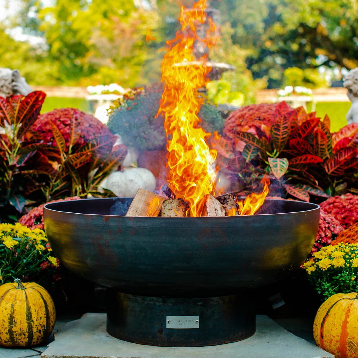 Harrogate Steel Wood Burning Fire Pit | Wayfair North America