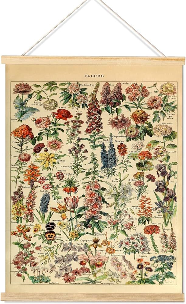 Armindou Vintage Flowers Poster Prints, Cottagecore Plant Floral Reference Chart Canvas Art Wal... | Amazon (US)