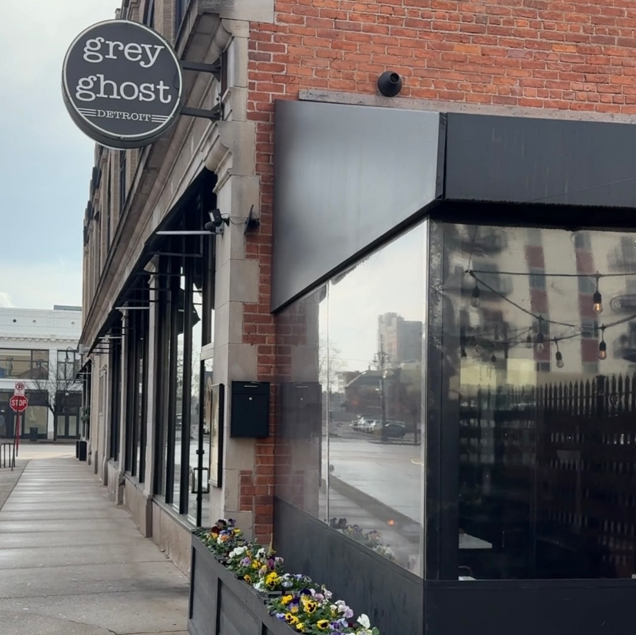 A night out in Detroit 🌃✨
 
Dinner at one of our favorite restaurants @greyghostdetroit & The Little Mermaid in concert @detroitsymphony 🍽️🎻🧜‍♀️
 
#michiganlife #downtowndetroit #detroitmichigan #michigan

#LTKfoodie #LTKvlog #LTKTravel